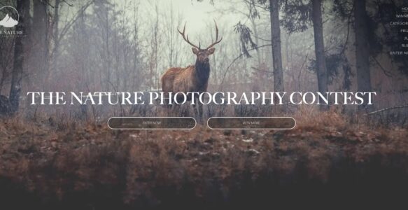 The Nature Photo Contest 2026
