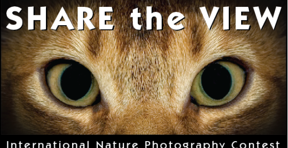 Share the View 2026