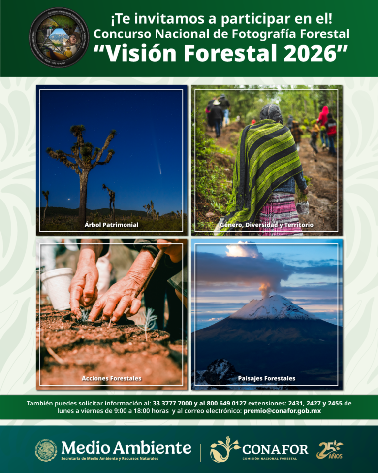 Postal oficial del Concurso Nacional de Fotografía Forestal 2026 - CONAFOR